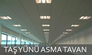 Tasyunu Asmatavan